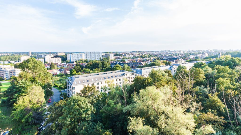 IZIKOZI agence immobilière woluwe contact